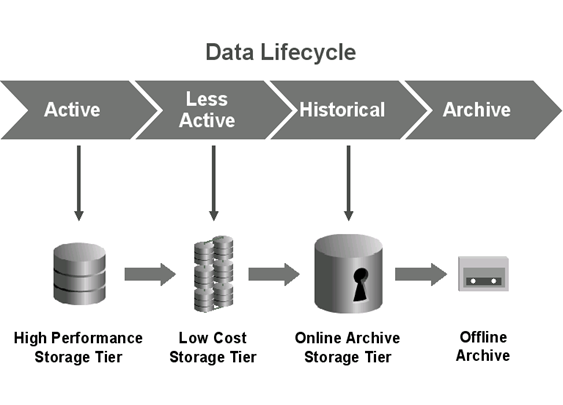 Data Lifecycle